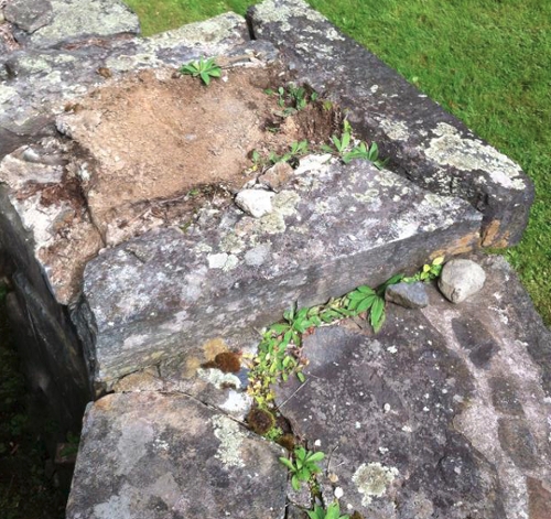 top of stone wall with moss